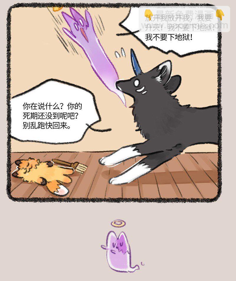 🍜有兽焉 751 狐要上天堂 第7页