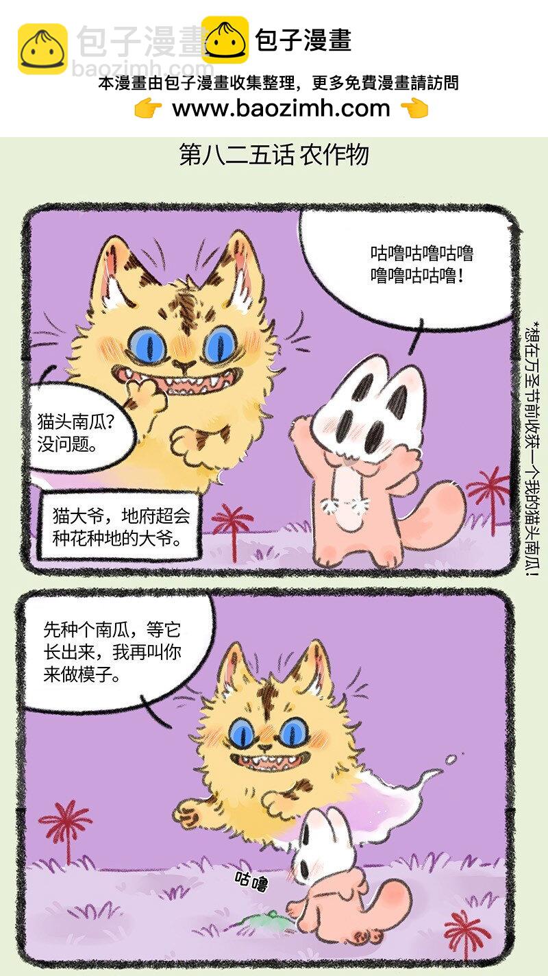 🍜有兽焉 825 猫头南瓜 第2页