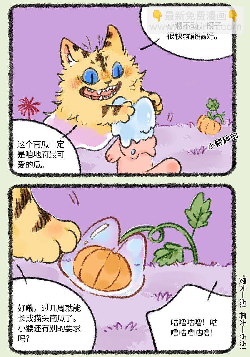 🍜有兽焉 825 猫头南瓜 第3页