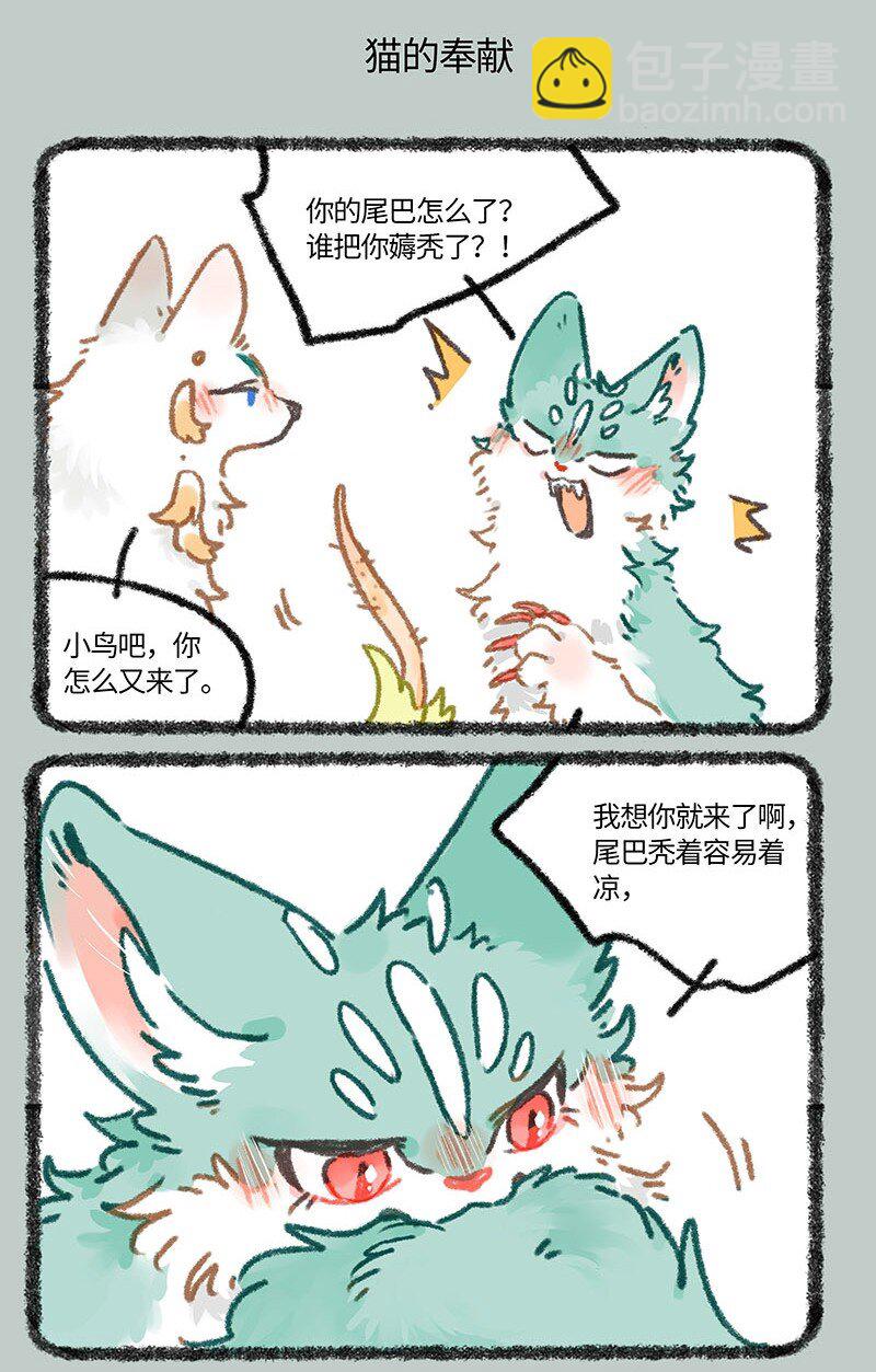 🍜有兽焉 847 猫的奉献 第5页