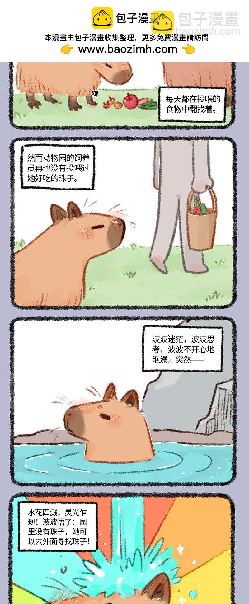 🍜有兽焉 861 波波的旅途 第2页