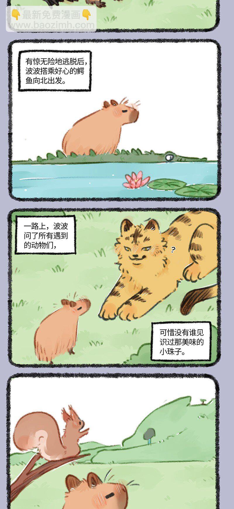 🍜有兽焉 861 波波的旅途 第4页