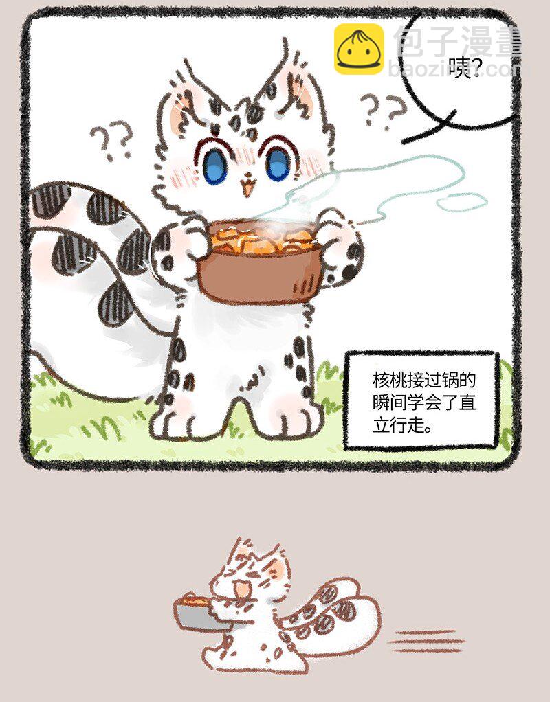 🍜有兽焉 865 核桃的使命 第7页