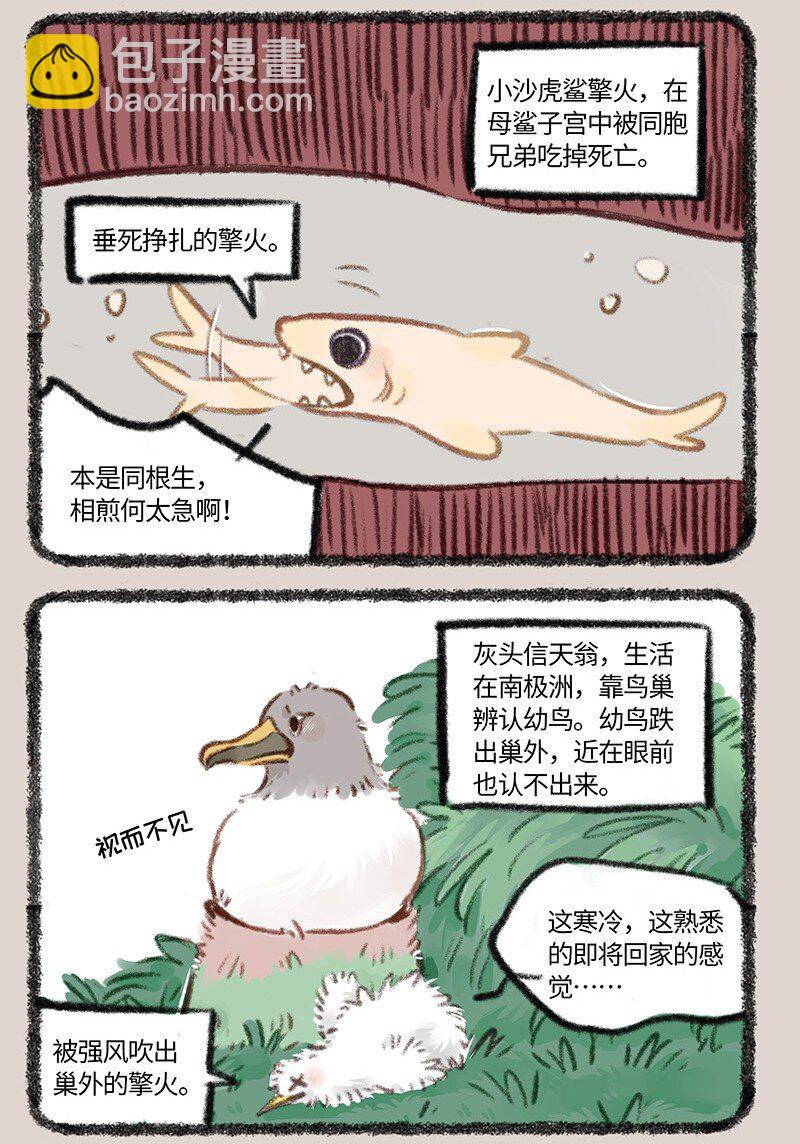 🍜有兽焉 877 投胎之旅 第6页