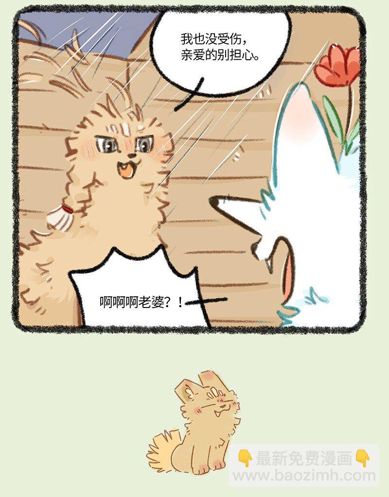 🍜有兽焉 893 自然之力 第4页
