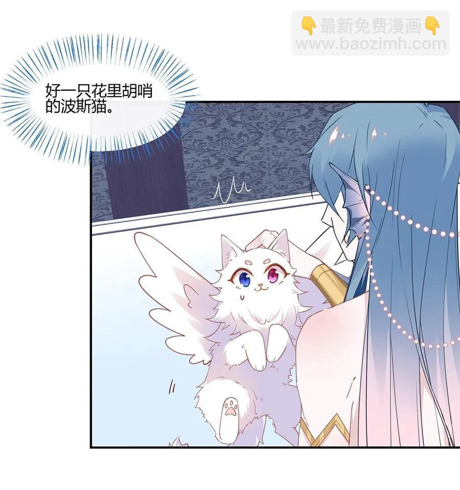 040 精灵蛋孵化成功-第42话