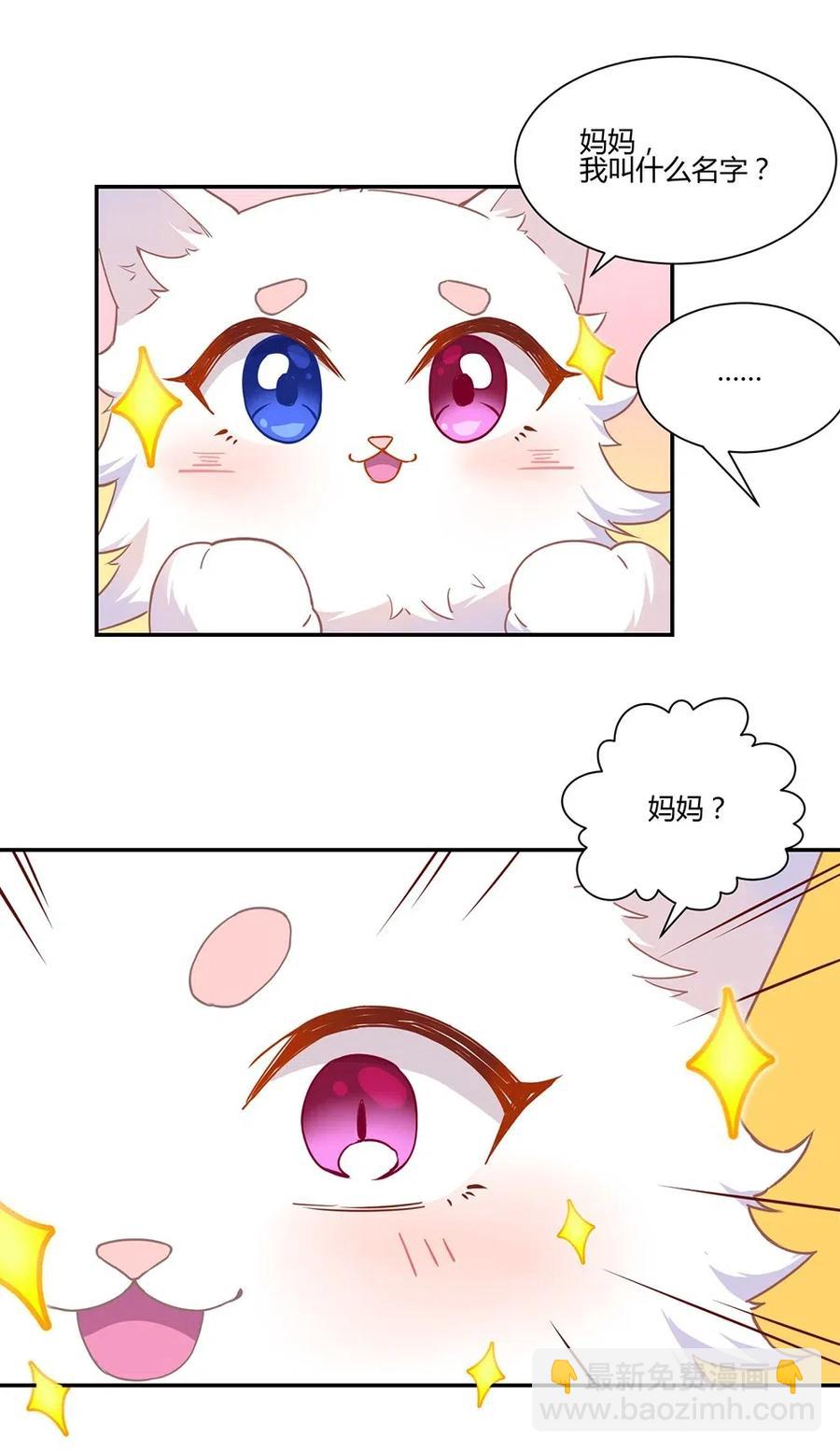 040 精灵蛋孵化成功-第42话