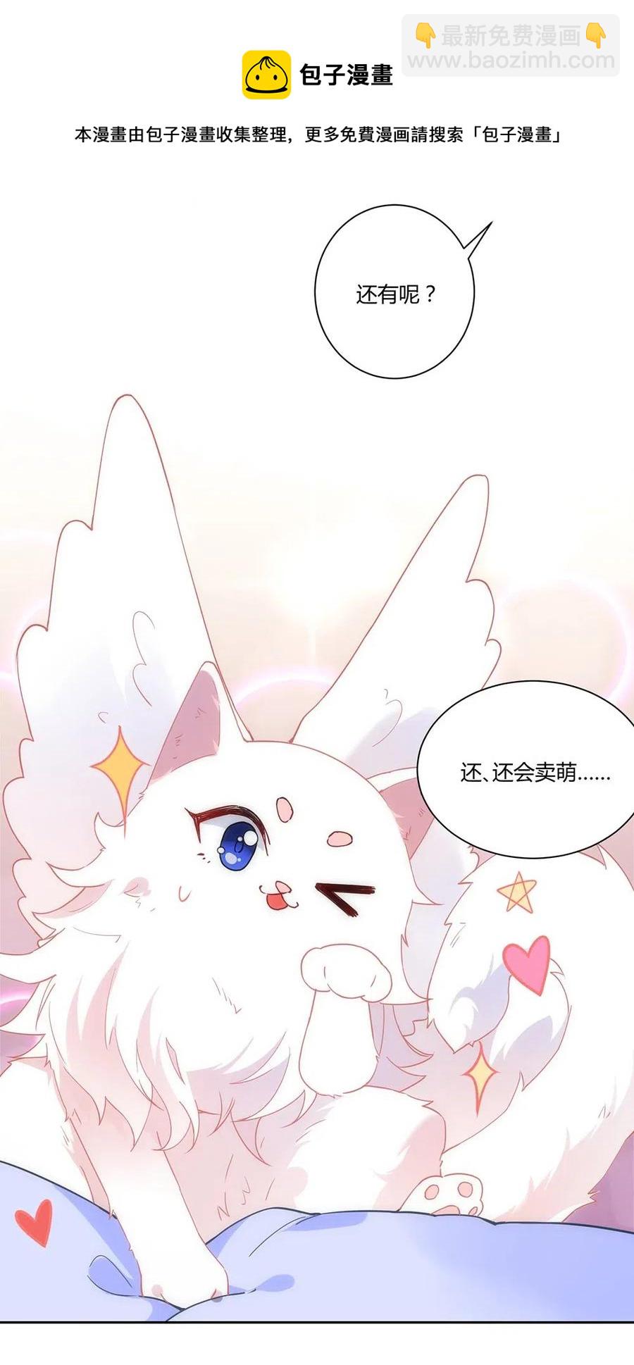 040 精灵蛋孵化成功-第42话