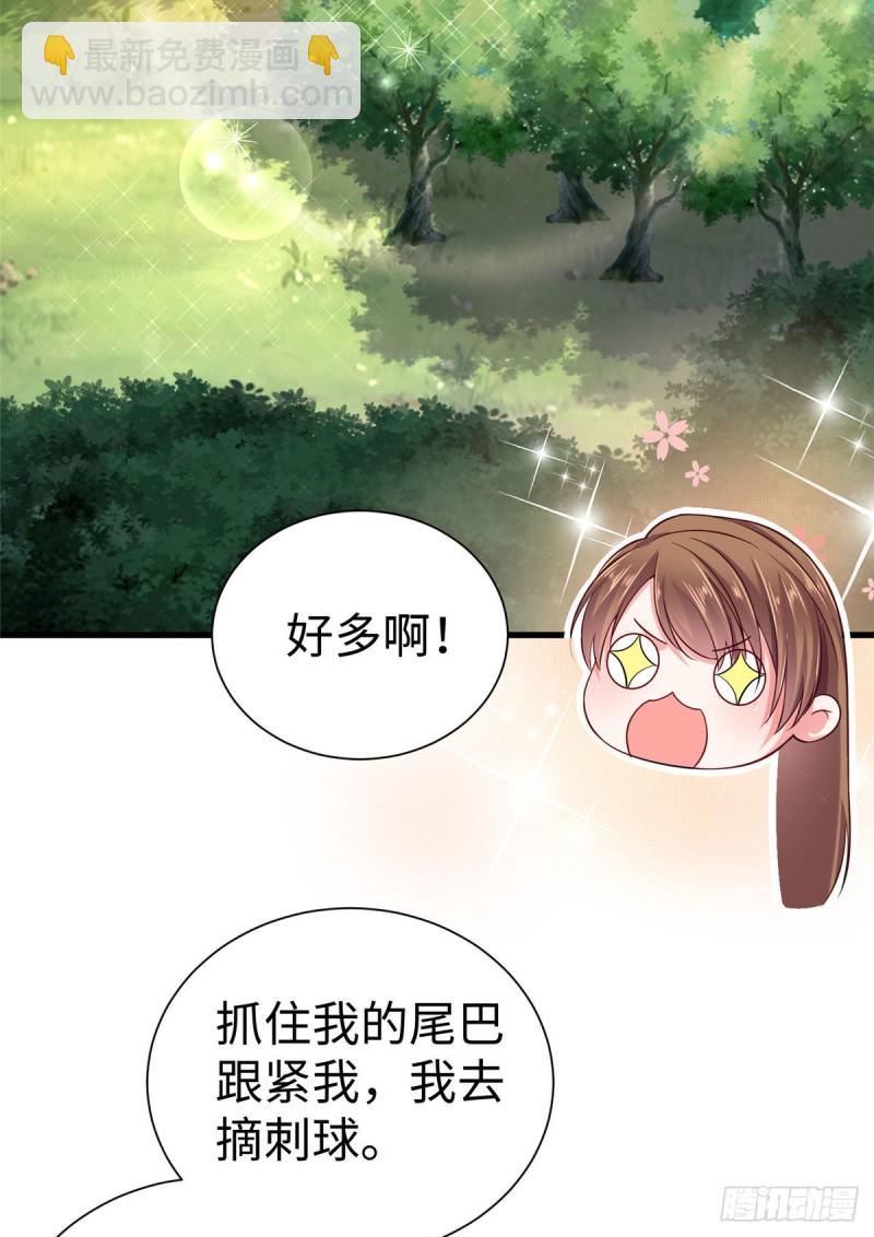 第251话-第256话