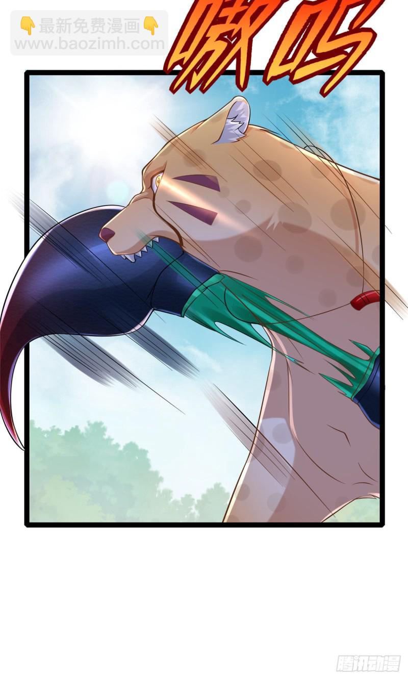 第255话-第260话
