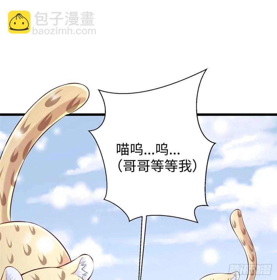 第261话(1/2)-第266话