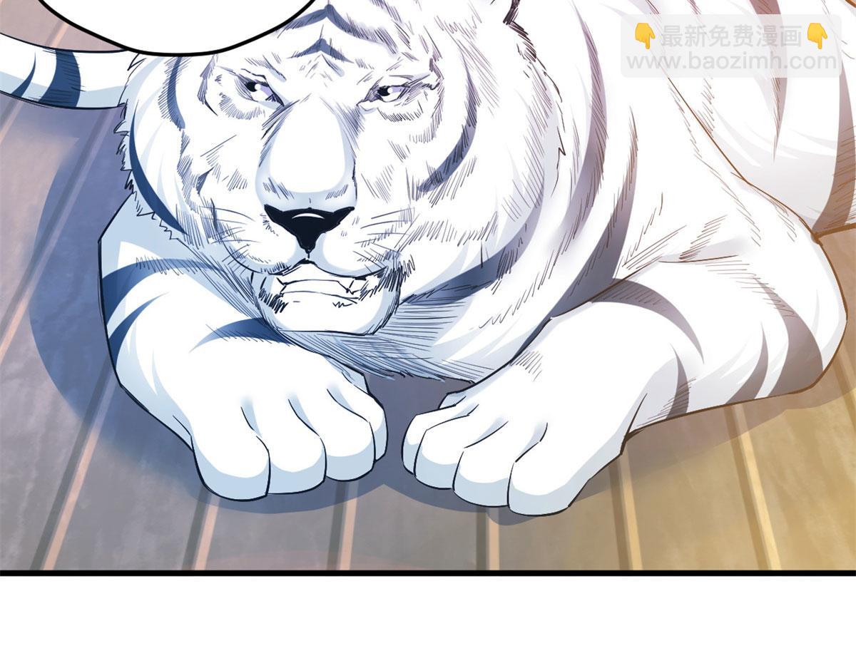 342(1/3)-第350话