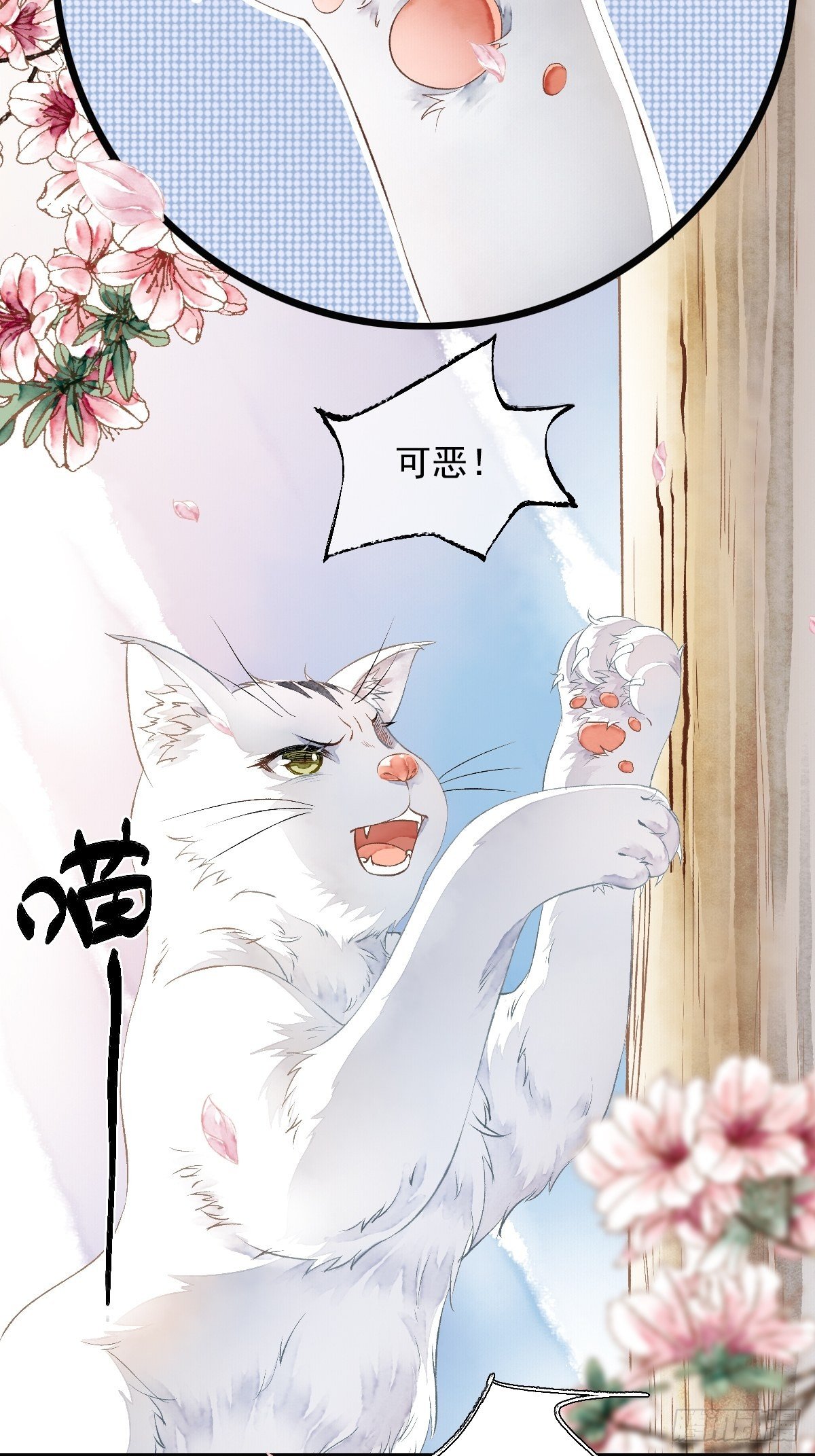 战狼的&ldquo;局&rdquo;(1/2)-第6话