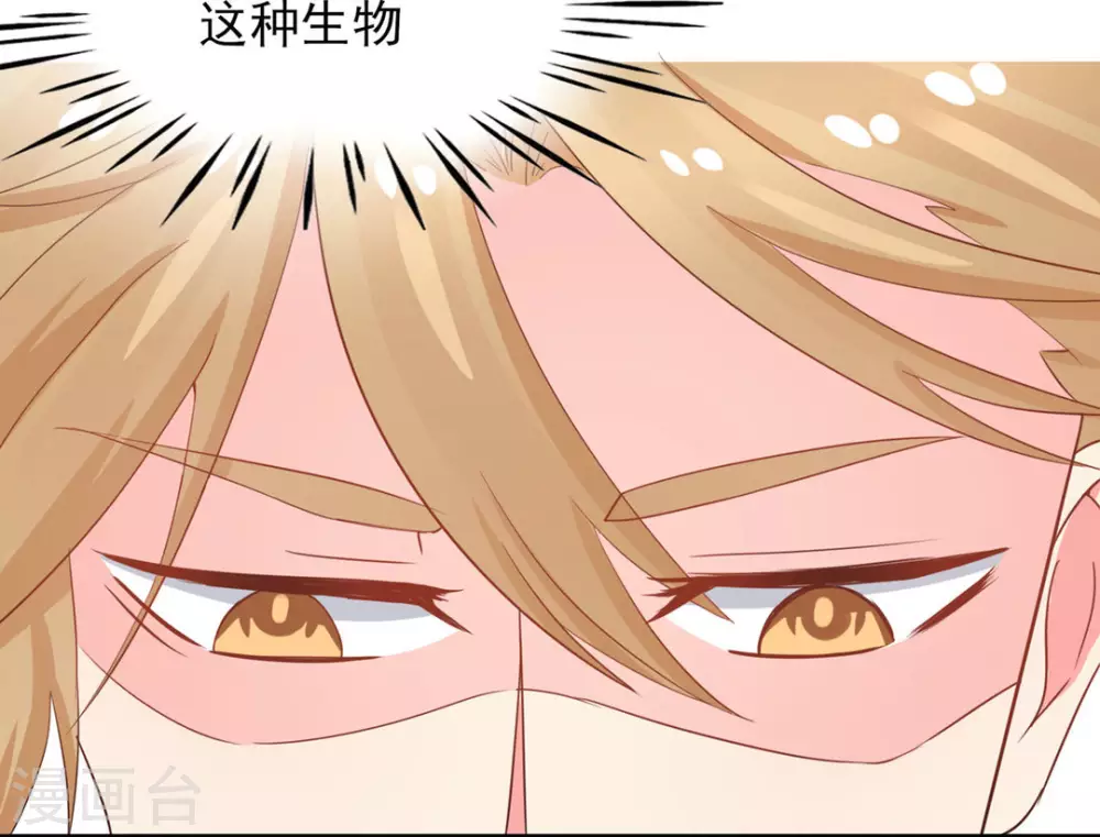 第14话-第14话