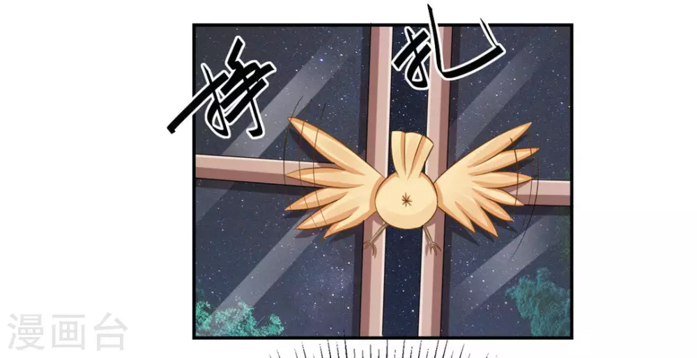 第24话-第24话