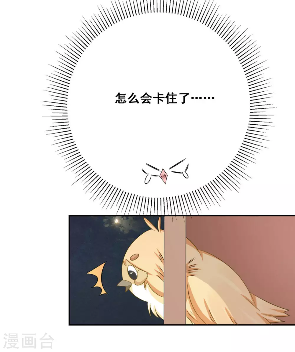 第24话-第24话