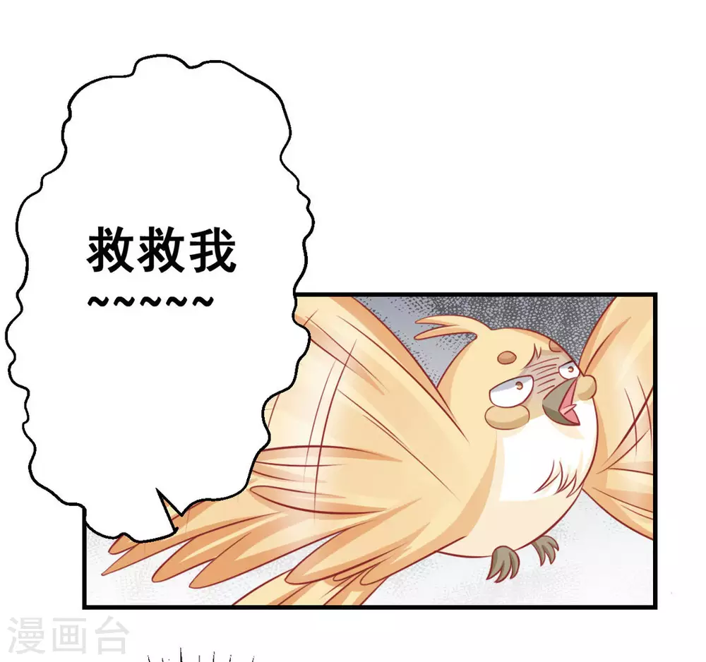 第36话-第36话