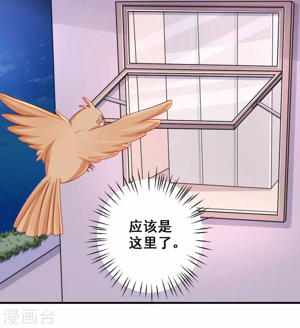 第36话-第36话
