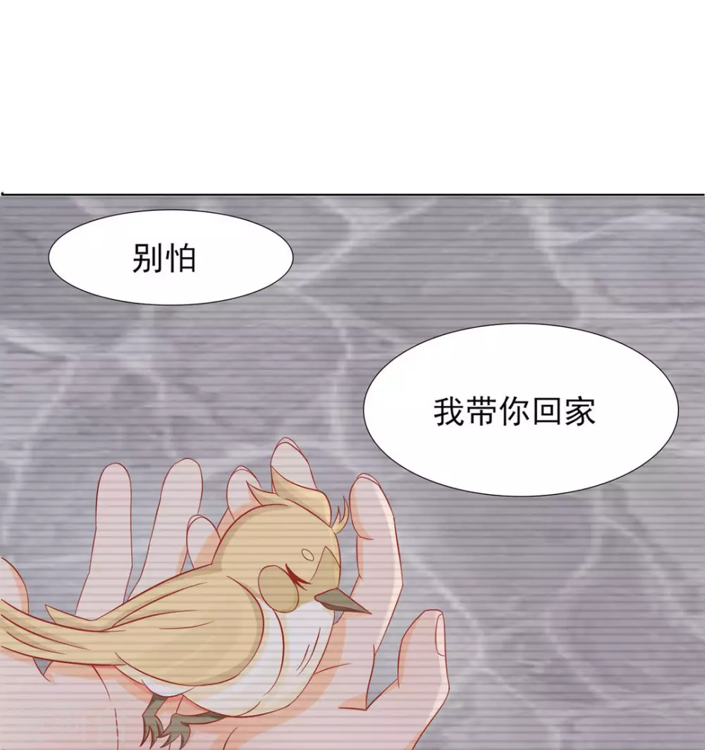 第6话-第6话