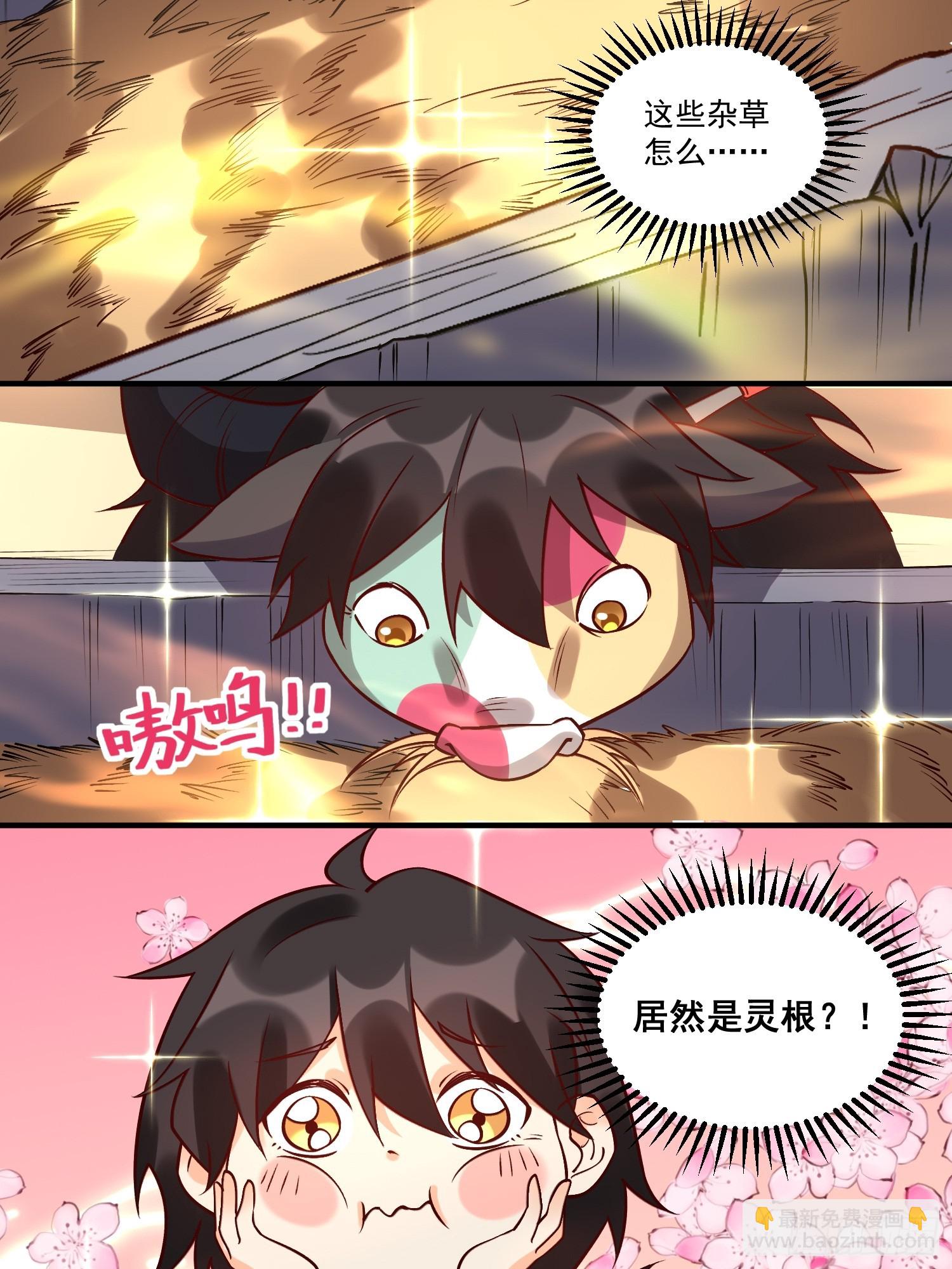 🍜原来我是修仙大佬 218话 第11页