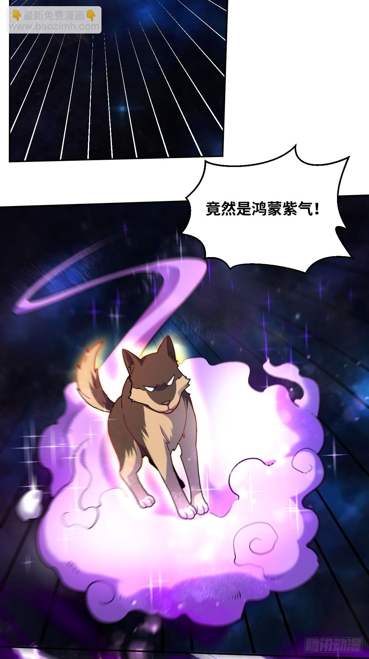 🍜原来我是修仙大佬 433话 第13页