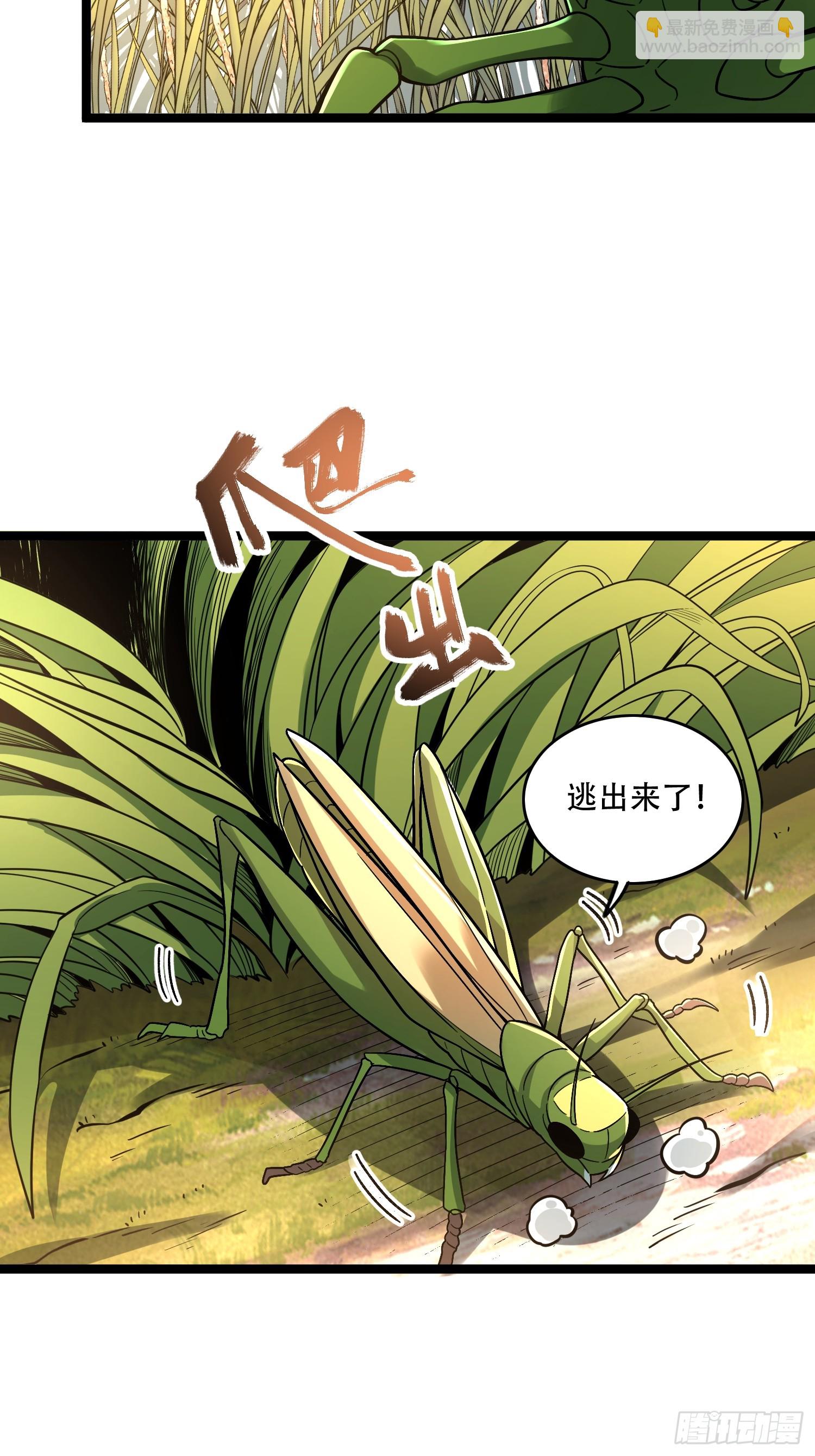 🍜原来我是修仙大佬 562话 第41页