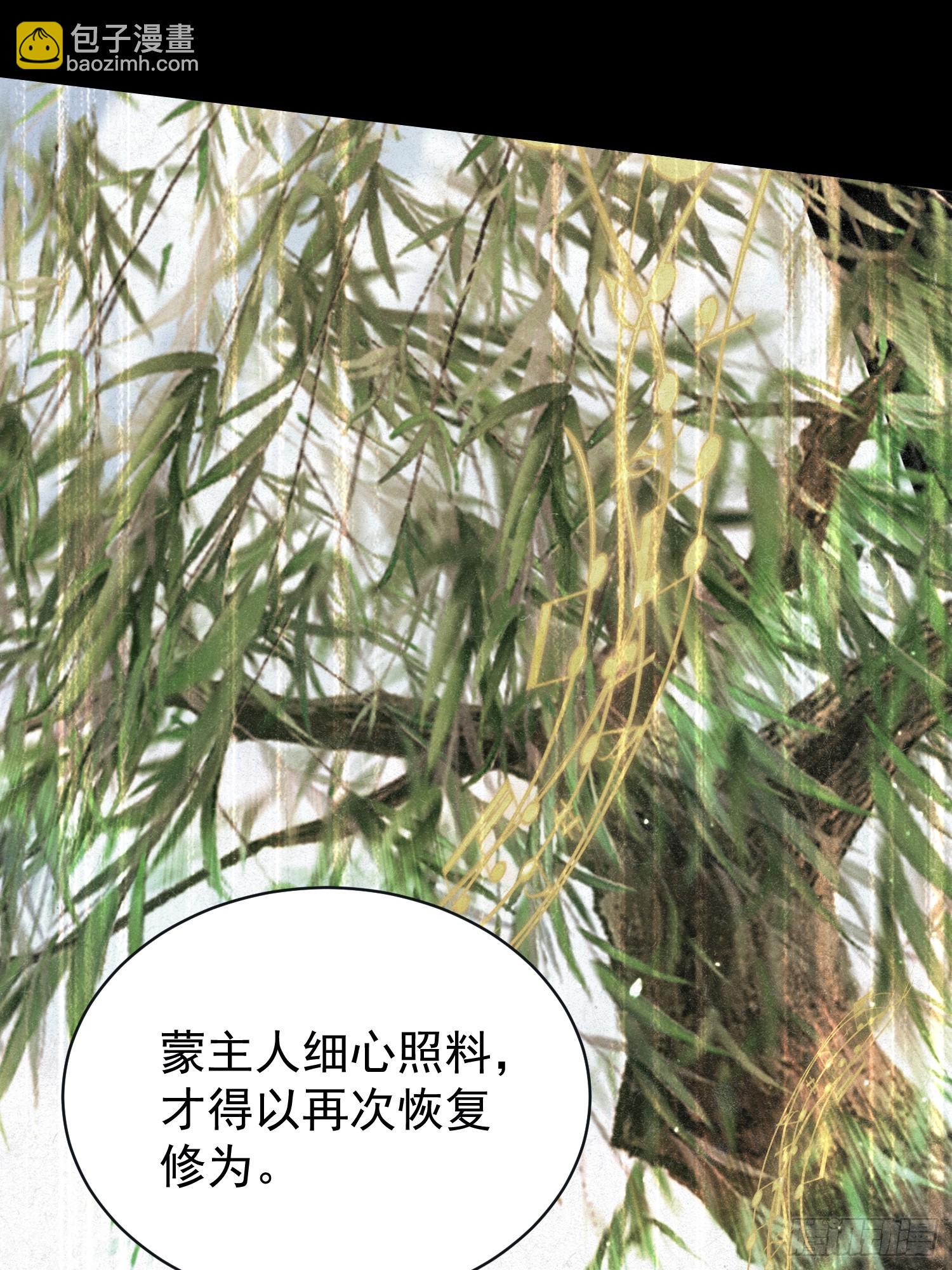 第264话 主人，似乎要离去了(1/2)-第264话
