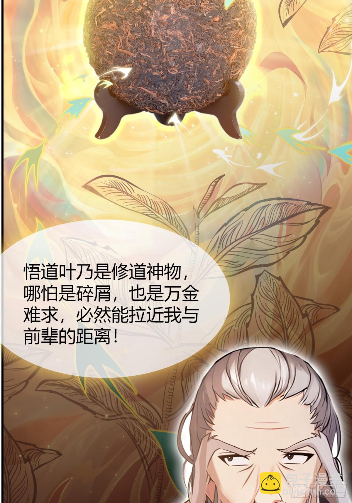第26话 整片悟道叶泡的茶？(1/2)-第26话