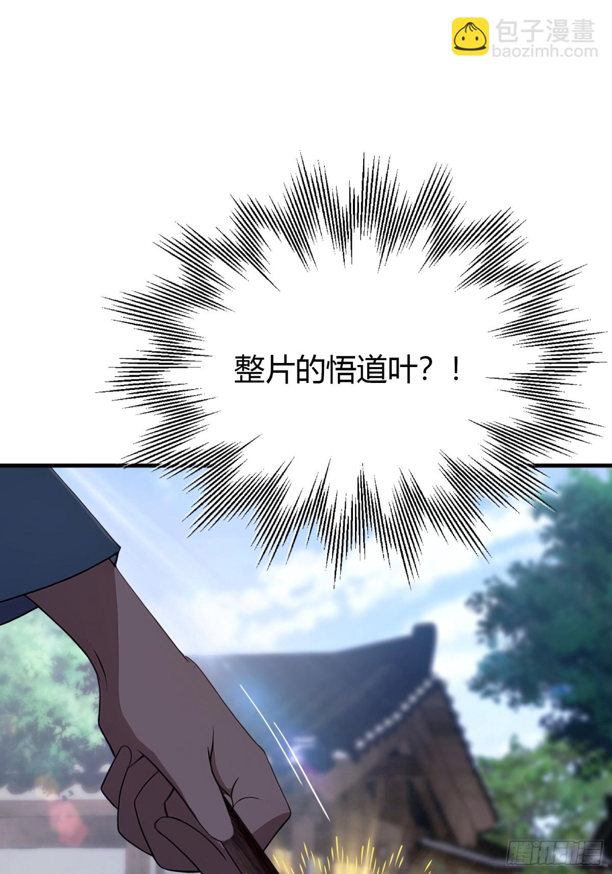 第26话 整片悟道叶泡的茶？(1/2)-第26话