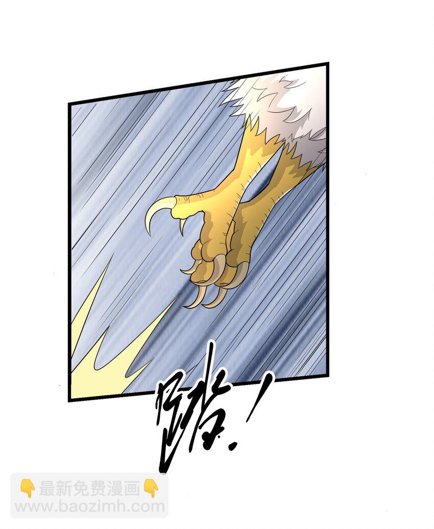333 追击(1/2)-第340话