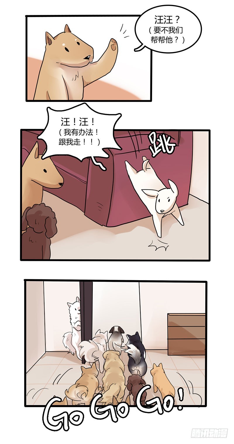 主人，汪们祝你一臂之力！-第34话