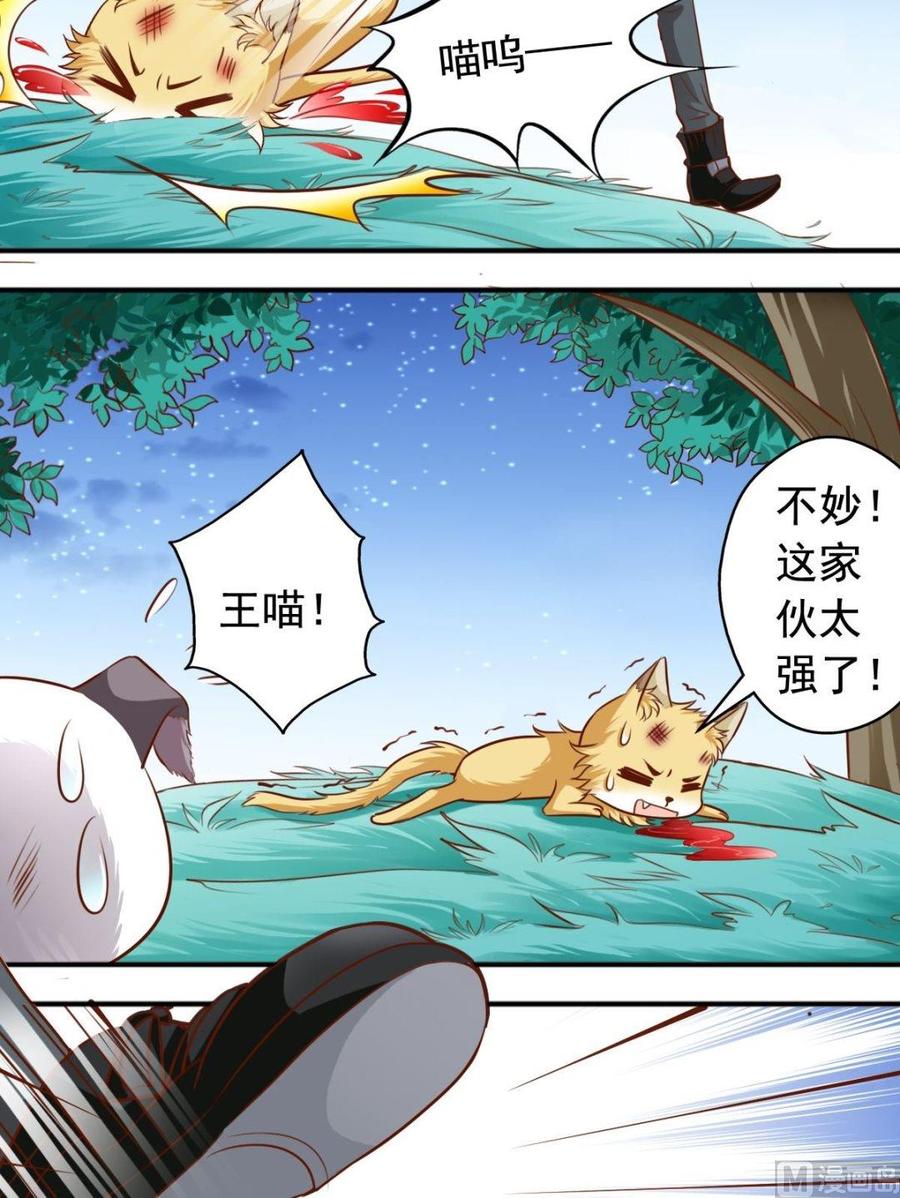 第113话传倩来了-第114话