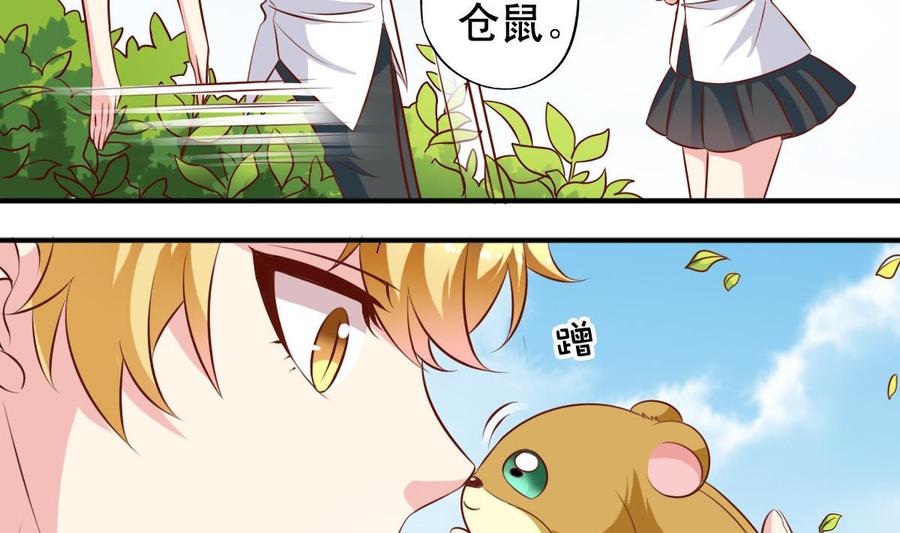番外35 白猫和仓鼠-第180话