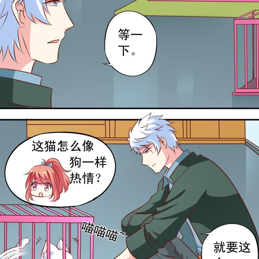 番外35 白猫和仓鼠-第180话