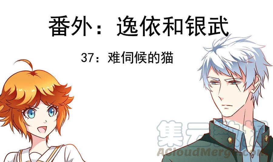 番外37 难伺候的猫-第182话