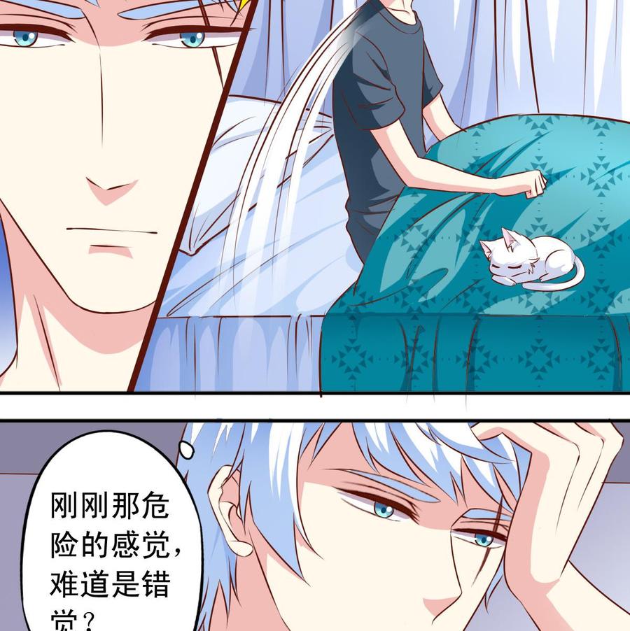 番外37 难伺候的猫-第182话