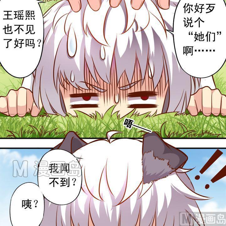 第55话 长得一样-第56话
