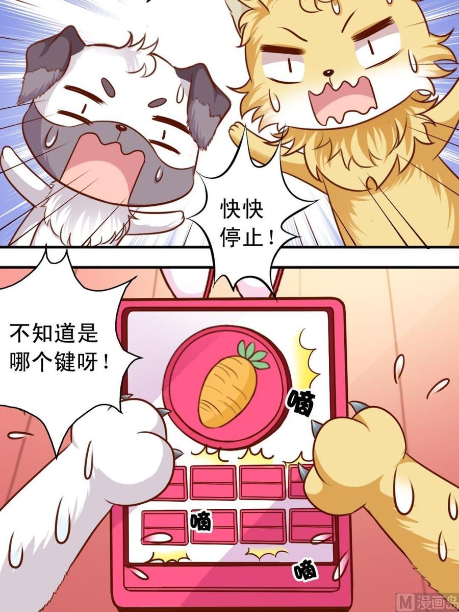 第75话 变兔子-第76话