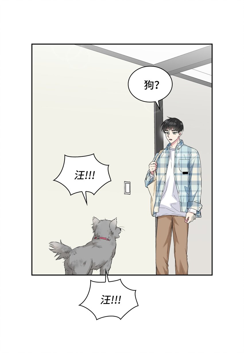 24 小灰灰出没(1/2)-第24话