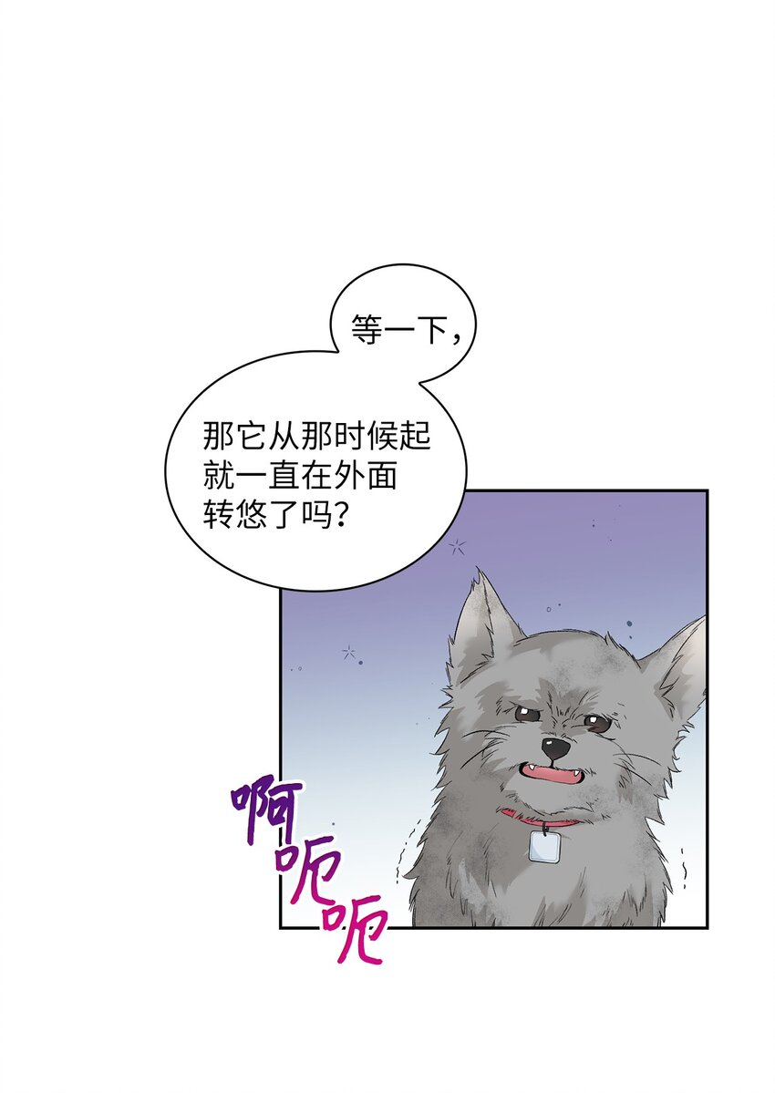 24 小灰灰出没(1/2)-第24话