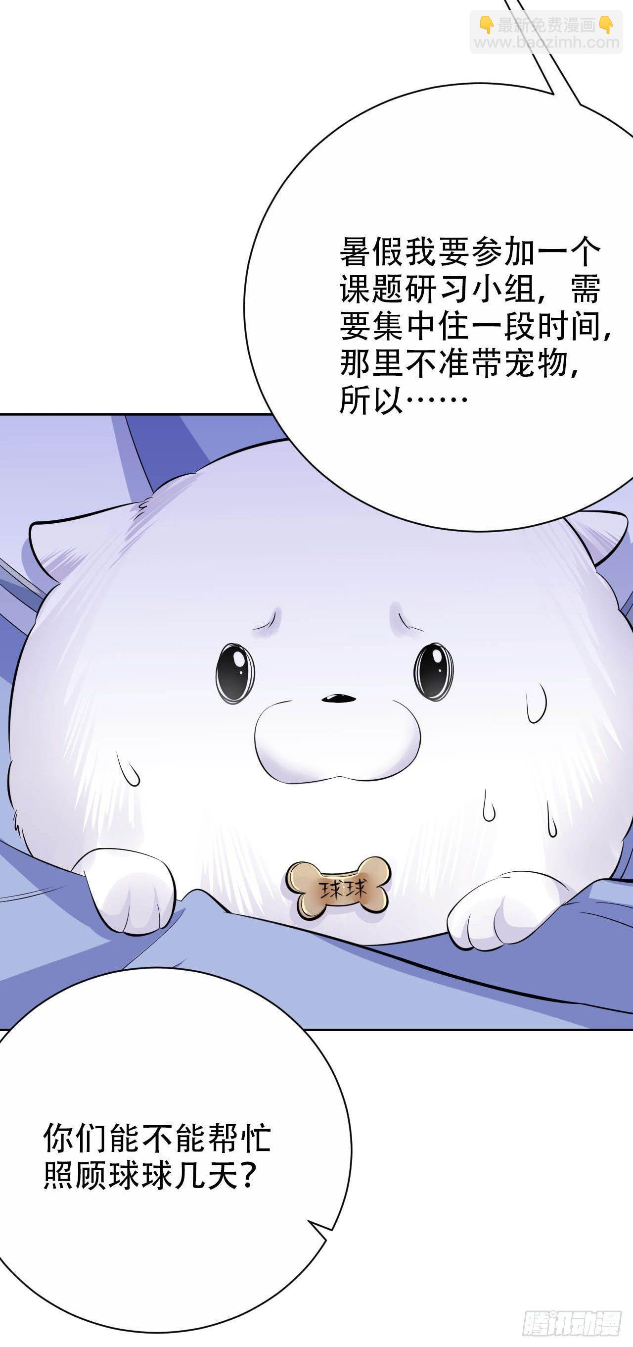 26.宠物终结者-第28话