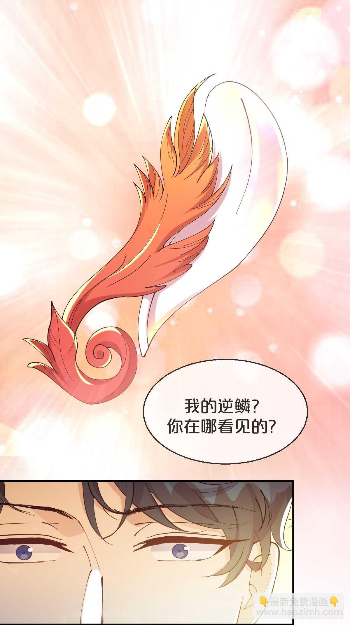 第42话-和解-第46话