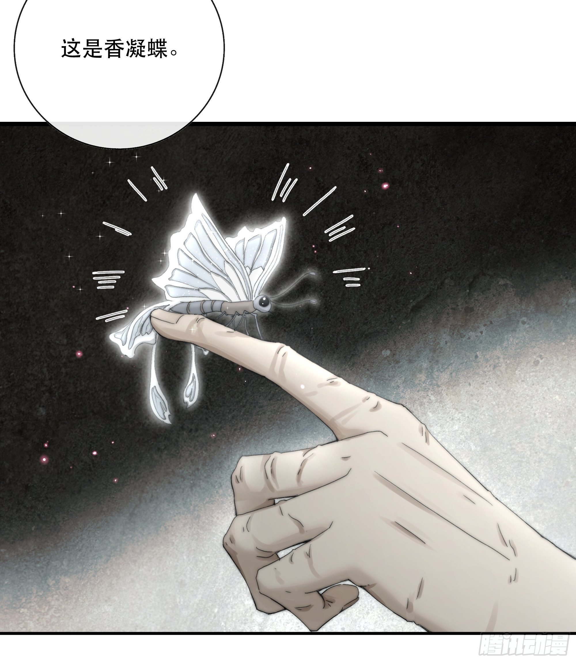 买一只香凝蝶送给内子-第32话
