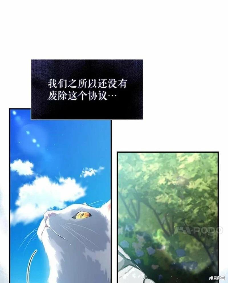 🍜遇光重生 第51话 第14页