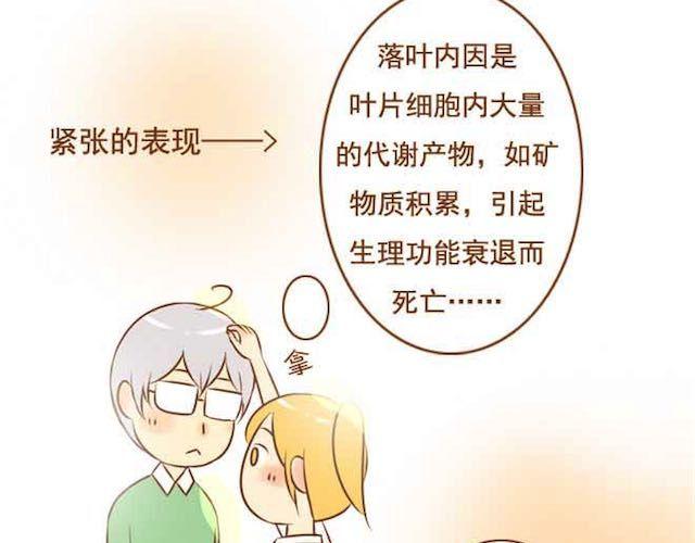 第14话 学长摸我的头了-第14话