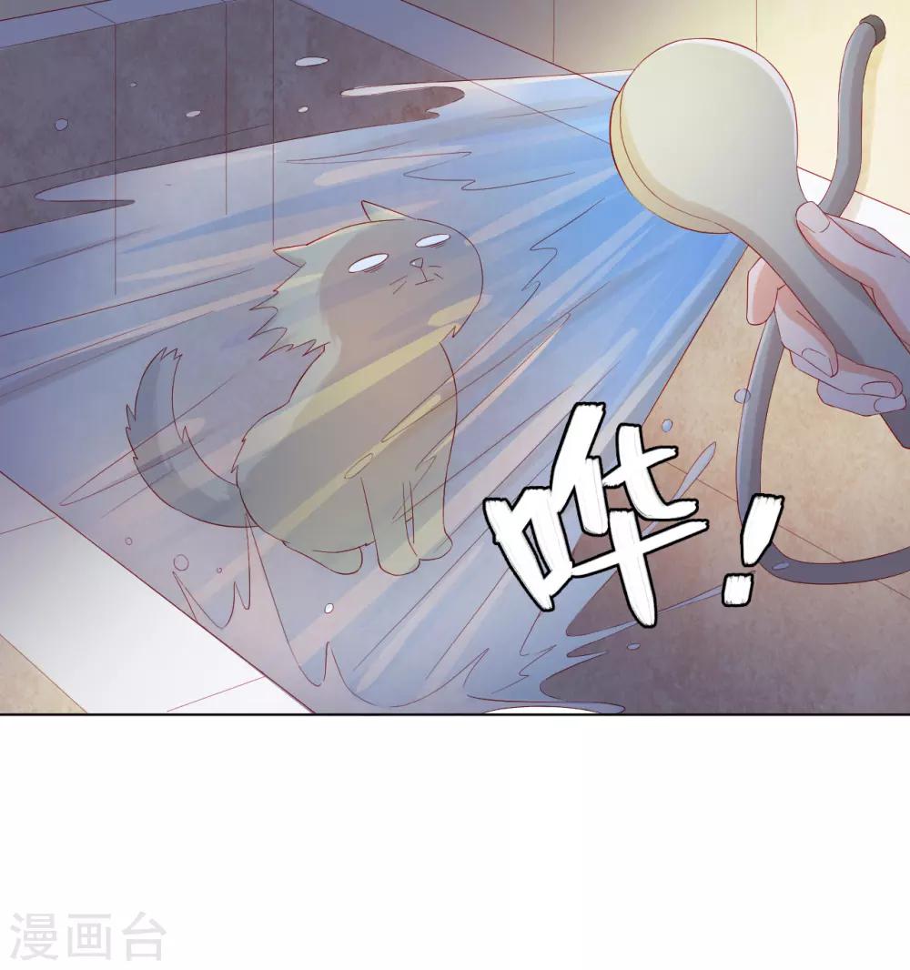 番外2 猫生赢家-第74话