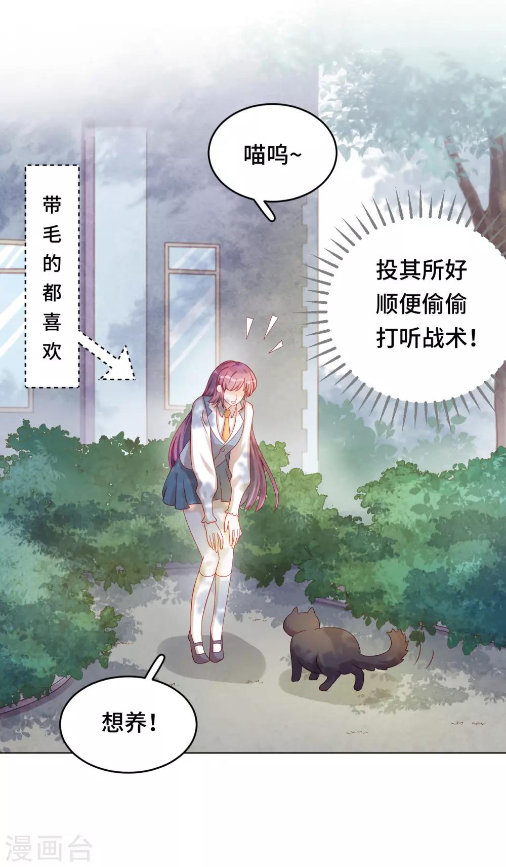 番外2 猫生赢家-第74话