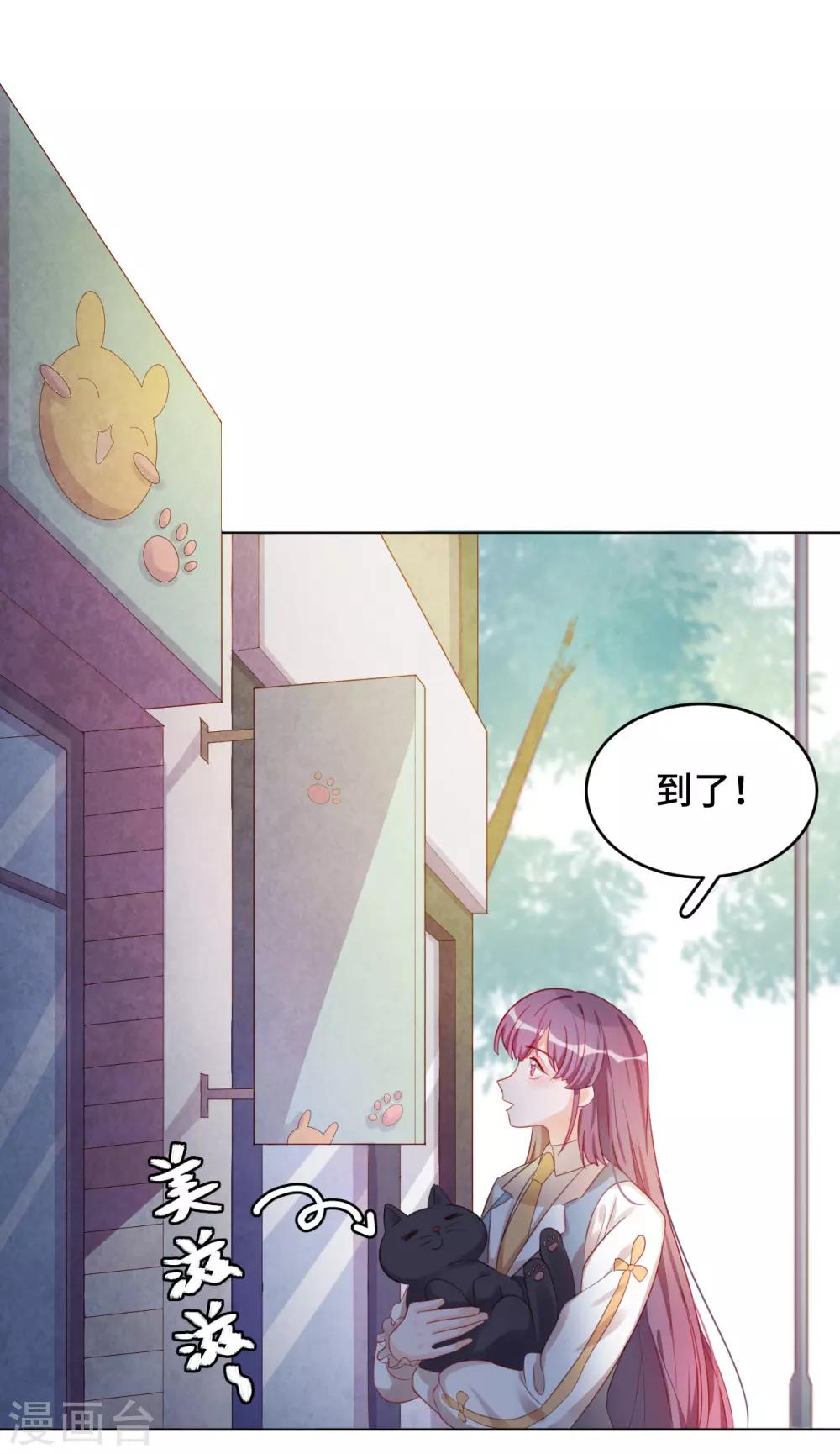 番外2 猫生赢家-第74话