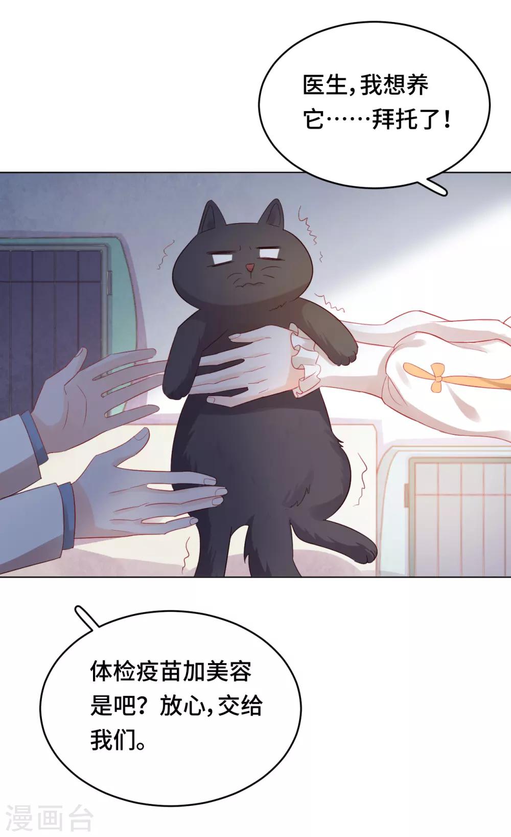 番外2 猫生赢家-第74话