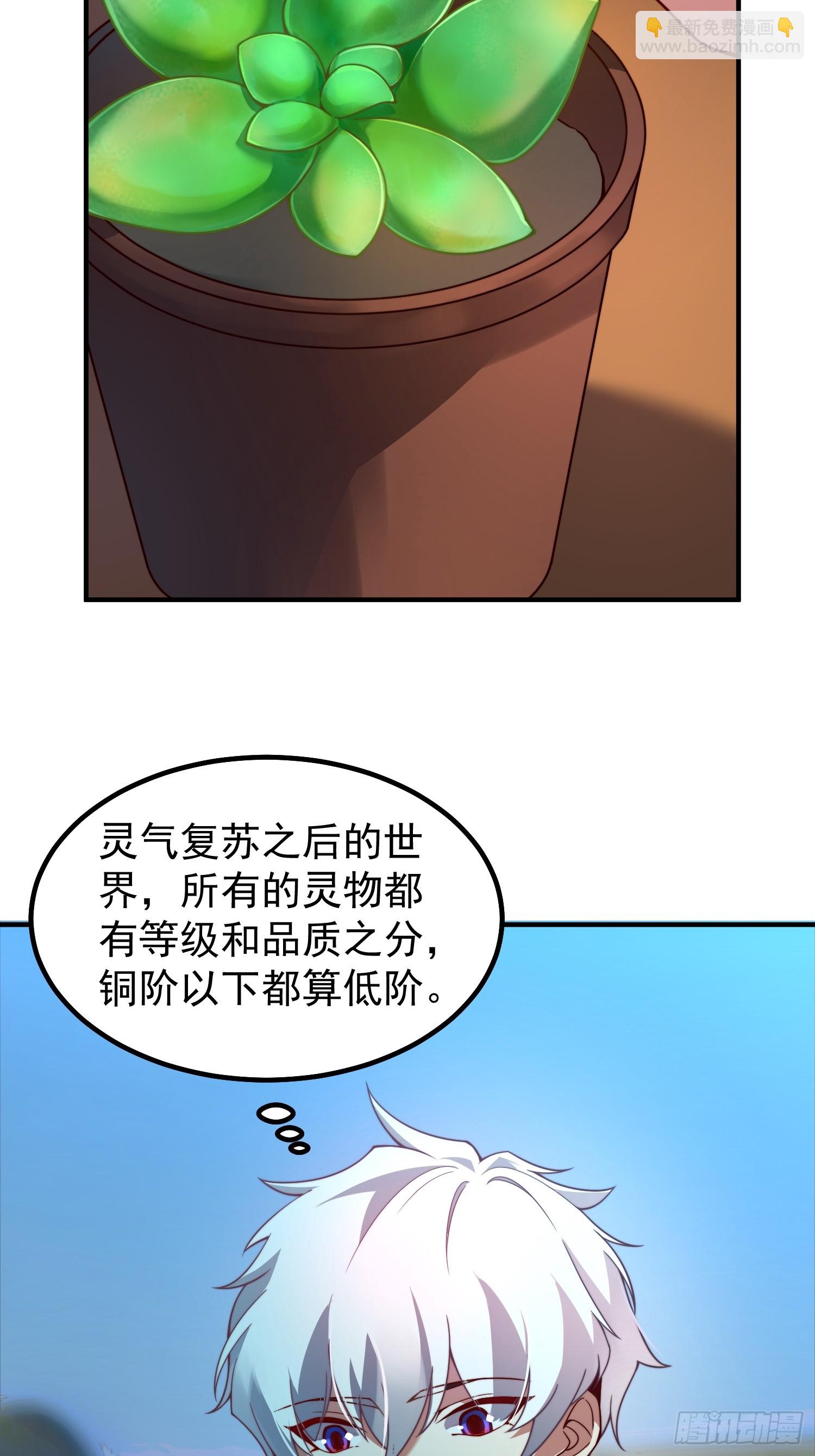 01 恢复灵气的少年(1/2)-第2话